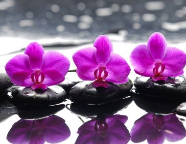 水疗SPA可以带给我们的功效有哪些?